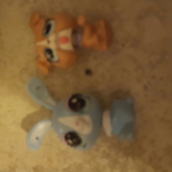 Meet your Posher, Norma - Picture 1 of 1